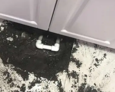 乐东查漏水哪家好